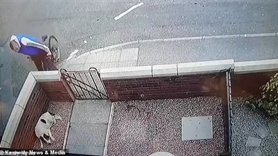 سقطة طريفة لراكب دراجة من أعلى سور منزل (فيديو)