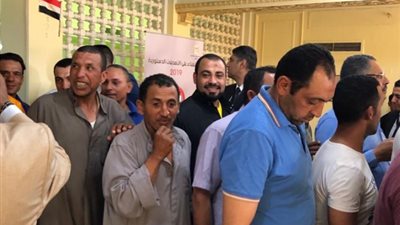 الأغاني الحماسية تشعل استفتاء الجالية المصرية بالكويت على التعديلات الدستورية