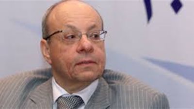 وحيد عبد المجيد: حضور الإخوان فعاليات الاحتجاج بالمنطقة مثير للقلق