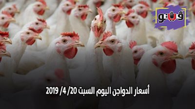 أسعار الدواجن اليوم السبت 20/ 4/ 2019