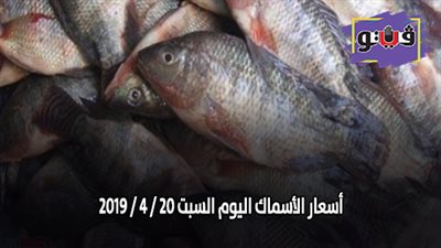 أسعار الأسماك اليوم السبت 20 / 4 / 2019
