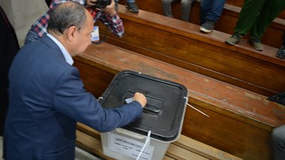 وزير الصناعة يدلي بصوته في الاستفتاء على التعديلات الدستورية (فيديو وصور)