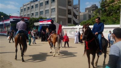 مسيرة بالخيول أمام لجان الاستفتاء بدار السلام في القاهرة (فيديو)