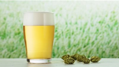 فوائد مشروب الشعير لإنقاص الوزن الزائد