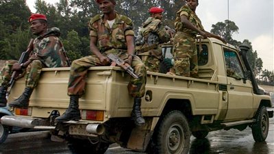 جماعة مسلحة تعلن تحالفها مع قوات تيجراي ضد حكومة إثيوبيا