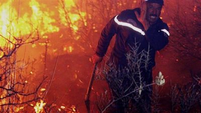 سحل مواطن جزائري مشتبه تورطه في إضرام النيران بالبلاد | فيديو