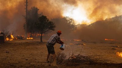 شمال إفريقيا يحترق.. تونس والمغرب يلحقان بالجزائر|فيديو