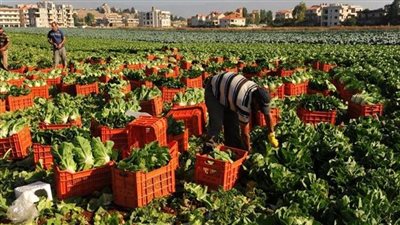 التصديري للحاصلات الزراعية يناقش أهم الاتفاقيات التجارية وكيفية تعظيم الاستفادة منها؟