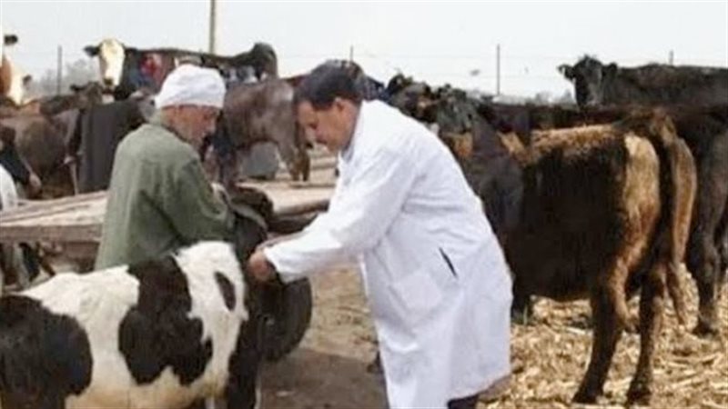 الأطباء البيطريين