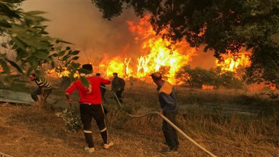 تهدد العالم..حرائق حطمت أرقام قياسية في 2021