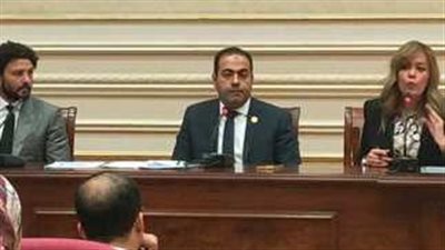 في اليوم العالمى للشباب.. ماذا قدمت لجنة الرياضة بالبرلمان للجيل الجديد؟