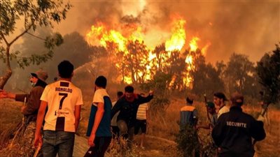 اللهم بردا وسلاما.. يسرا تدعم الجزائريين بعد اجتياح حرائق الغابات لبلادهم