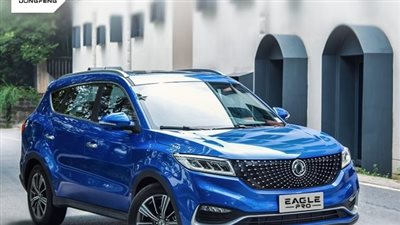 رسميًا.. الإعلان عن إيجل برو في مصر