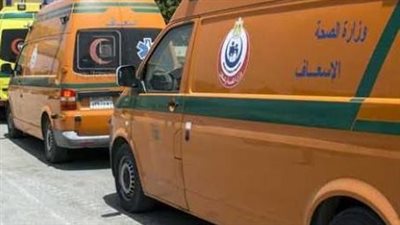 مصرع طفل صدمته سيارة في الدقهلية