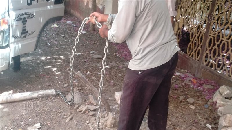 إزالة تعديات حمو