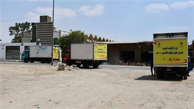 انطلاق سيارات توزيع لحوم الأضاحي إلى 6 محافظات | فيديو وصور