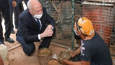 سيدة تونسية بسيطة لقيس سعيد: إحنا معاك سيادة الرئيس| فيديو