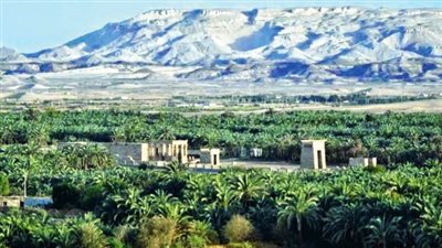 منزل و5 أفدنة لكل أسرة وافدة في الوادي الجديد.. الزملوط لـ