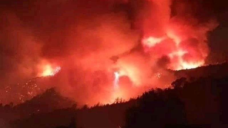 حرائق الجزائر وكائنات