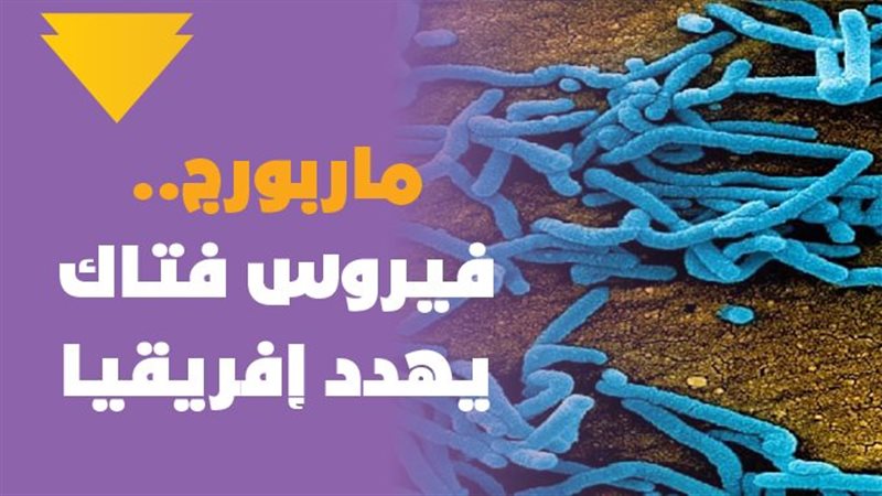 فيروس ماربورج