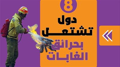  8 دول تشتعل بحرائق الغابات | إنفوجراف