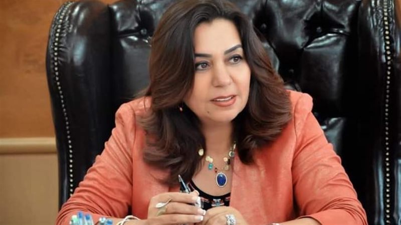 محافظ دمياط