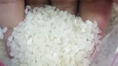 أول رد من تموين الإسكندرية على أزمة «ديدان الأرز» | صور 