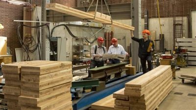 تعرف على عدد الشركات العاملة في الصناعات الخشبية والأثاث 