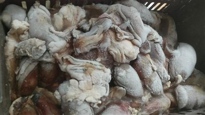 ضبط طني لحوم فاسدة بمحال جزارة في جمصة بالدقهلية