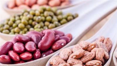 أسعار البقوليات اليوم الأربعاء 8-9-2021 في مصر