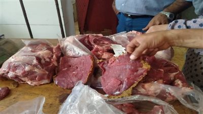 ضبط 10 أطنان لحوم مذبوحة خارج السلخانة في حملات بيطرية بالدقهلية 