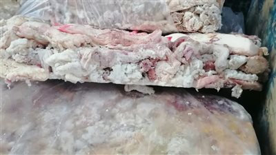 ضبط ٤ أطنان مصنعات لحوم ودواجن فاسدة بمطاعم شهيرة في الجيزة|صور