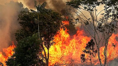 تفاصيل نشوب 78 حريقا فى تونس خلال 24 ساعة 