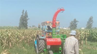 الزراعة تزيل حقول إنتاج تقاوي الذرة الشامية مجهولة المصدر في الدقهلية والبحيرة