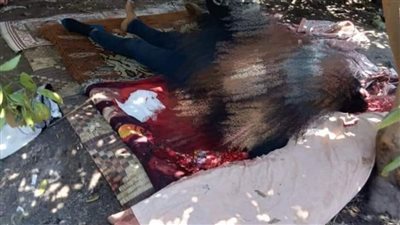 بعد تصفيتهم.. ١٦ صورة لموقع العثور على جثتي شابين داخل عشة بالدقهلية