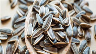 ما هي فوائد اللب السوري في التخسيس؟