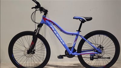 سعر الدراجة الكهربائية وطرق الحصول عليها من وزارة الشباب