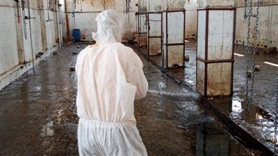 صحة المنيا تواصل حملاتها للتطهير والتعقيم ومكافحة ناقلات الأمراض