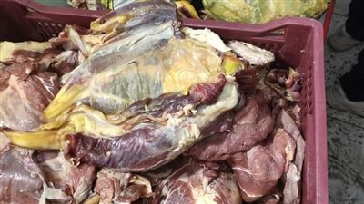 مصادرة 2.5 طن لحوم وكبدة فاسدة داخل مصنع للصناعات الغذائية بالقاهرة