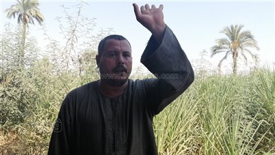 أزمة السماد بالصعيد تهدد الأراضي الزراعية بالبوار.. السوق السوداء عرض مستمر l فيديو وصور