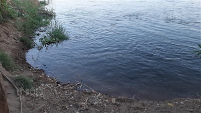 استنفار بكفرالزيات بالغربية بعد ارتفاع منسوب مياه النيل|صور