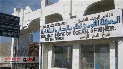 اليوم.. بدء انتخابات رئاسة علوم البحار