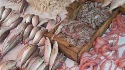 «البلطي» يسجل 12 جنيهًا بسوق الجملة