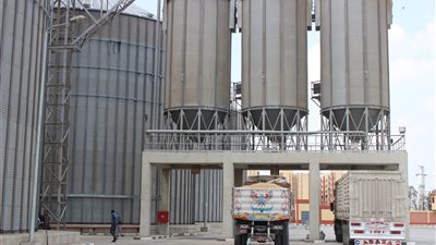 ممدوح غراب: توريد 1254 طن لصوامع الشرقية