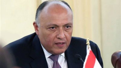 شكري يستقبل عضو لجنة الاستخبارات بمجلس الشيوخ الأمريكي