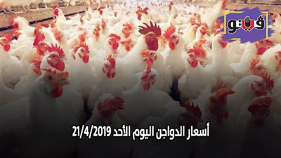 أسعار الدواجن اليوم الأحد 21/ 4/ 2019