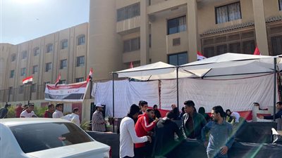 تزاحم الناخبين للإدلاء بأصواتهم في اليوم الثاني من الاستفتاء (صور وفيديو)