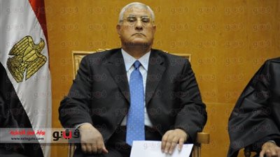 وفد الإمارات يغادر القاهرة بعد لقاء الرئيس منصور