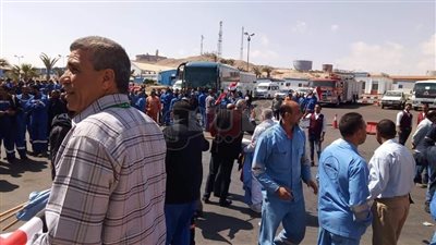 إقبال كثيف على لجان رأس غارب في ثاني أيام الاستفتاء (صور)