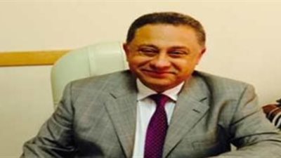 سفير مصر في أستراليا: المشاركة في الاستفتاء تحولت لتظاهرة في حب مصر